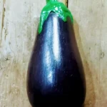 BERENJENA