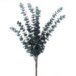 EUCALYPTUS AZUL