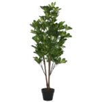 PLANTA SCHEFFLERA VERDE